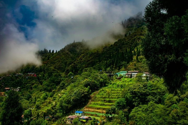 boudhayan-bardhan-VNlwWP-sy1A-unsplash (1) (1) (1) (1)