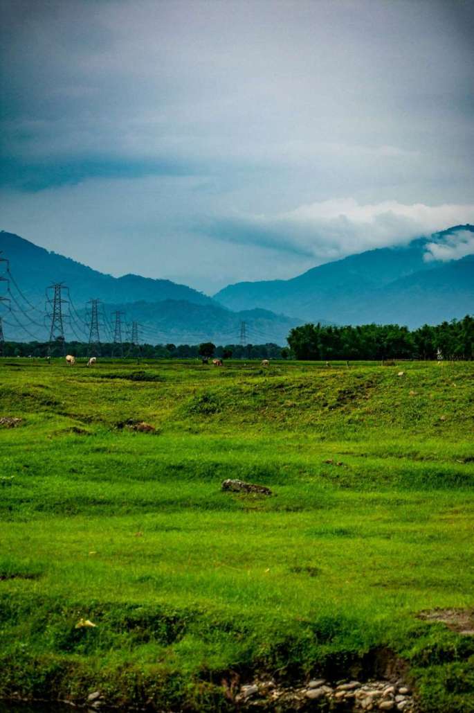 boudhayan-bardhan-jUjRe4aDWHM-unsplash (1) (1) (1)